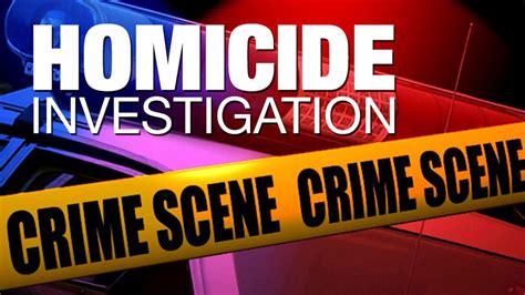 Albany police investigating two homicides